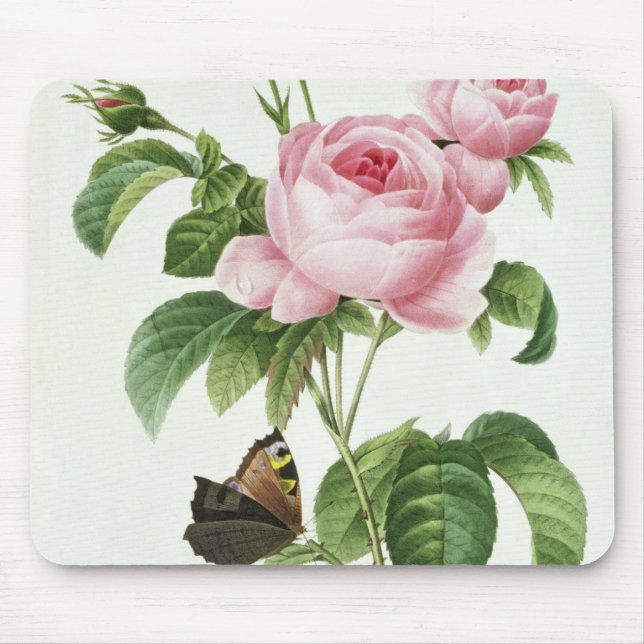 Mousepad Rosa Centifolia (Frente)