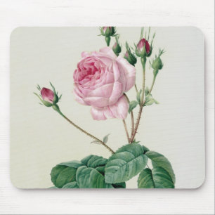 Mousepad Rosa Centifolia Bullata