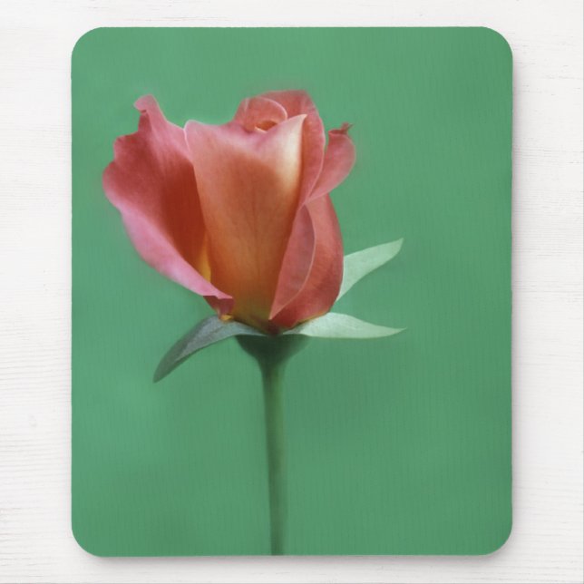 Mousepad Rosa-colorido aumentou (Frente)
