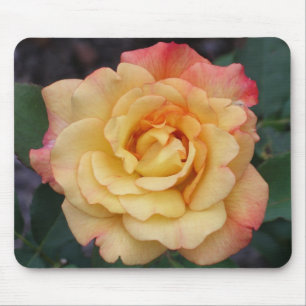Mousepad Rosa de Paz Belo Rosa e Amarelo Floral