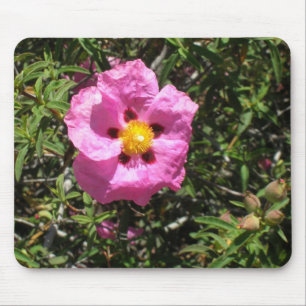 Mousepad - Rosa do Rock Mexicano