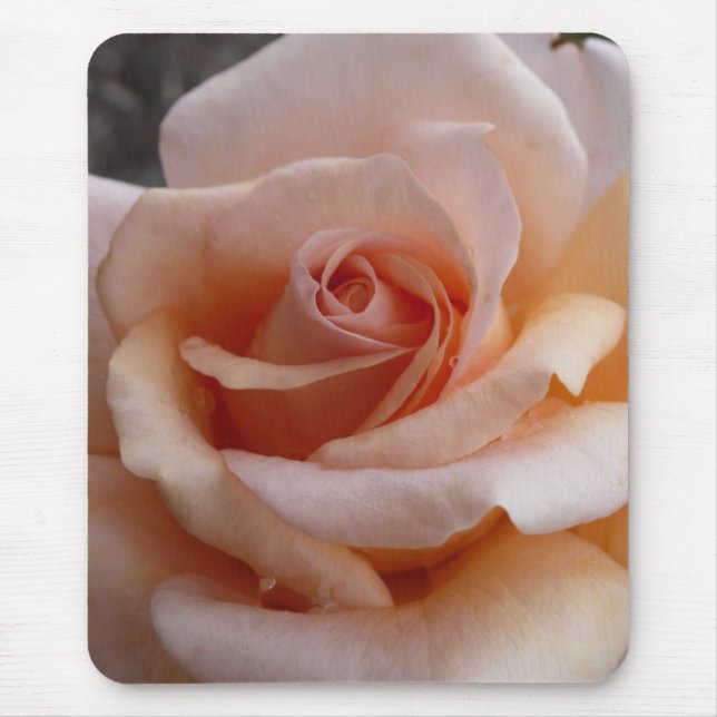 Mousepad Rosa do rosa (Frente)