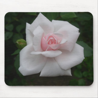 Mousepad Rosa do rosa