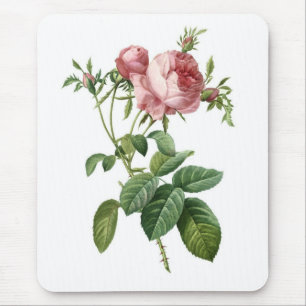Mousepad Rosa do rosa