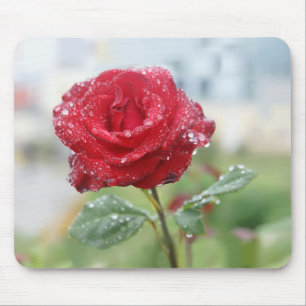 Mousepad Rosa em gotas de chuva