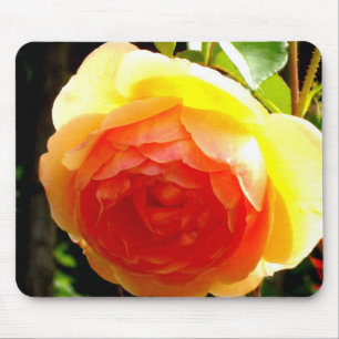 Mousepad Rosa floral de damasqueiro amarelo-esguicho