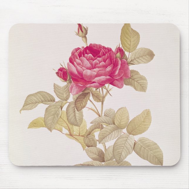 Mousepad Rosa Gallica Pontiana, 'dos rosas de Les (Frente)