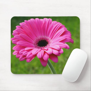 Mousepad Rosa Gerbera Daisy