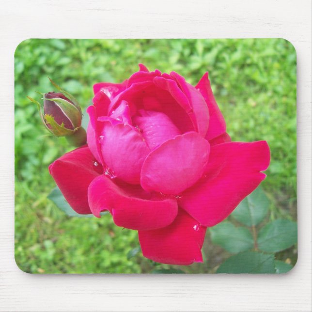 Mousepad Rosa in Bloom (Frente)