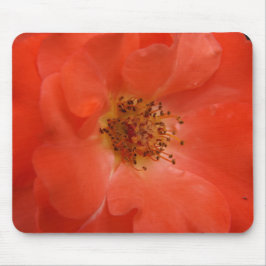 Mousepad Rosa laranja