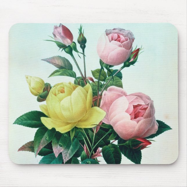 Mousepad Rosa Lutea e Rosa Indica (Frente)