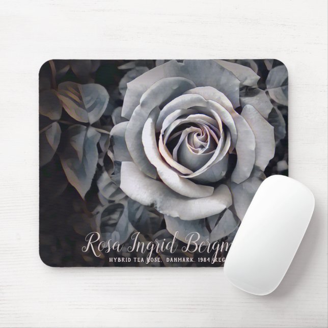 Mousepad Rosa Monótona [Mouse Pad] (Com mouse)