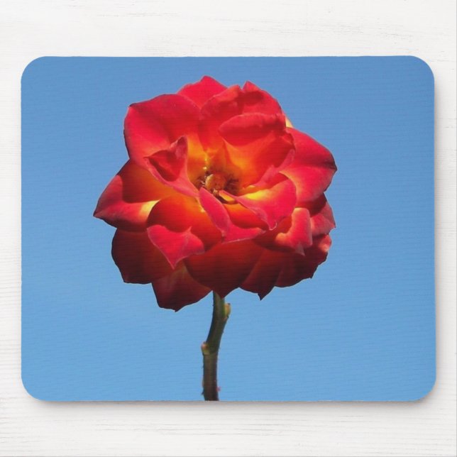 Mousepad Rosa Phoenix no Sky-Mousepad (Frente)