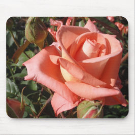 Mousepad Rosa Rosa Peach
