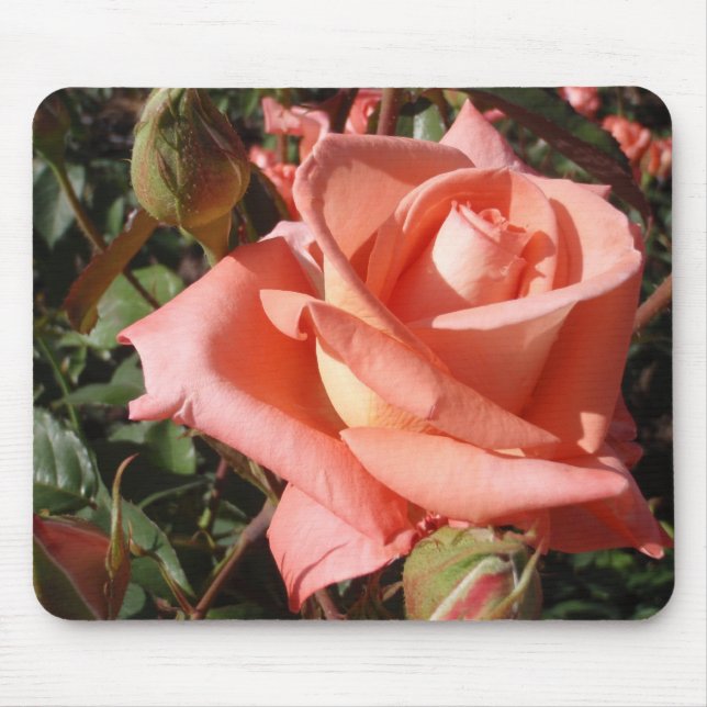 Mousepad Rosa Rosa Peach (Frente)