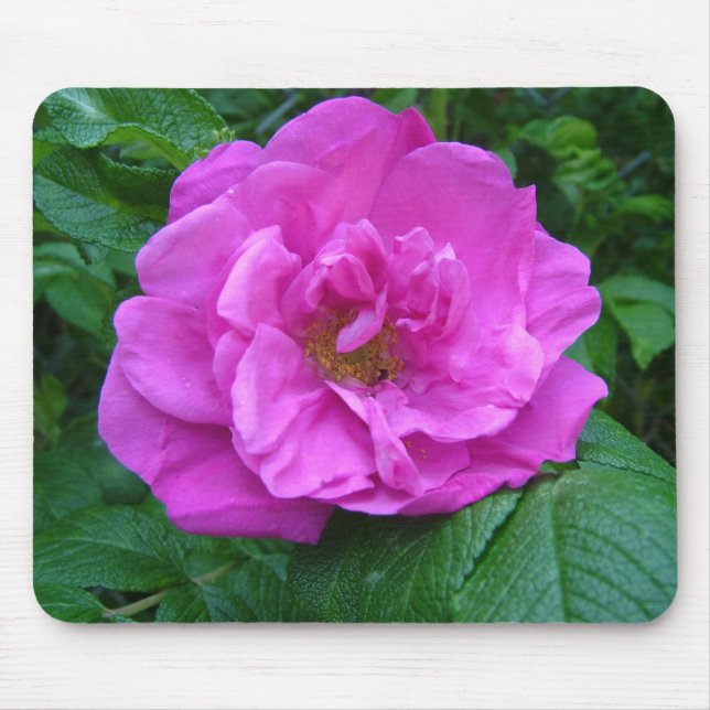 Mousepad rosa, rosa púrpura (Frente)