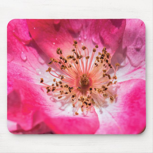 Mousepad Rosa Rosa Rosa (Frente)
