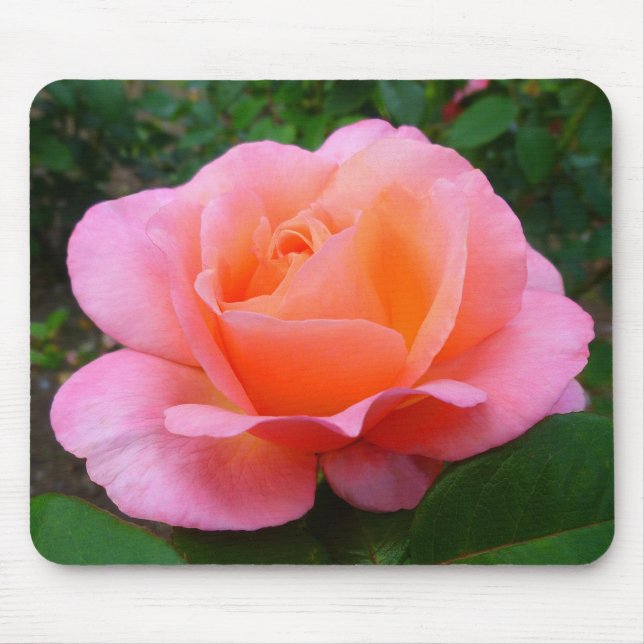 Mousepad Rosa Rosa Rosa (Frente)