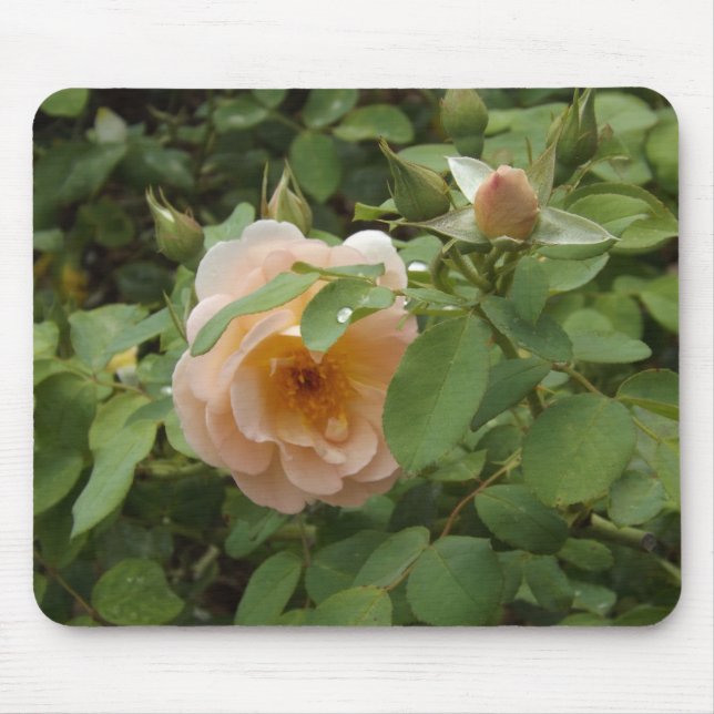 Mousepad Rosa Rosa Rosa (Frente)