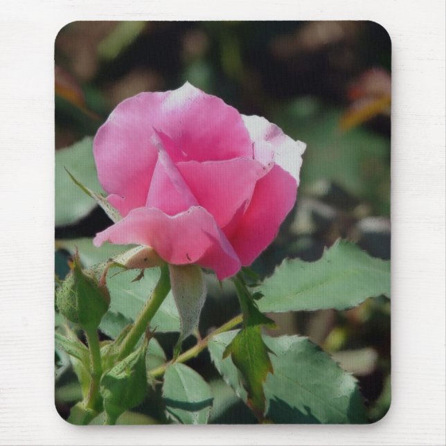 Mousepad Rosa Rosa Rosa (Frente)