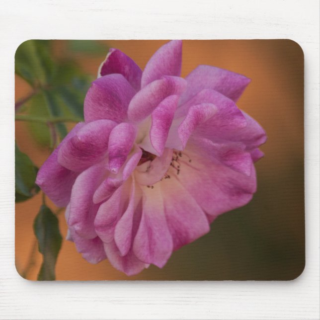 Mousepad Rosa Rosa Rosa Dusty (Frente)