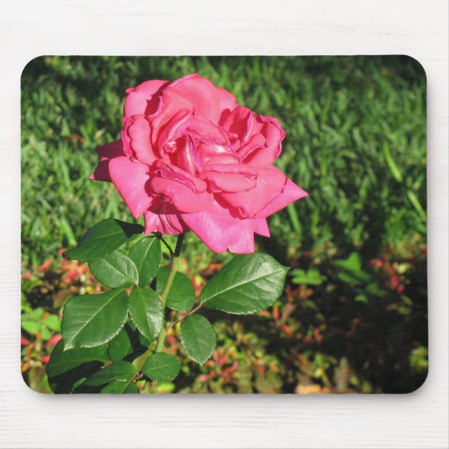 Mousepad rosa rosa rosa rosa (Frente)