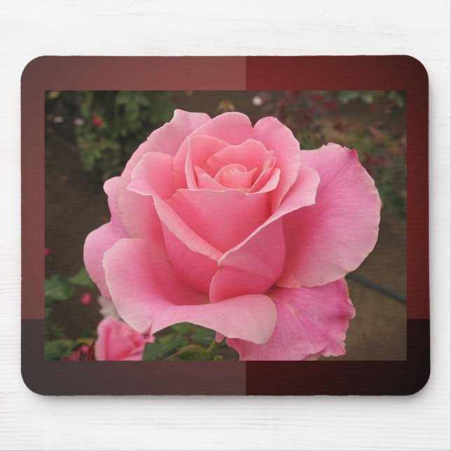 Mousepad Rosa Rosa Rosa Rosa (Frente)