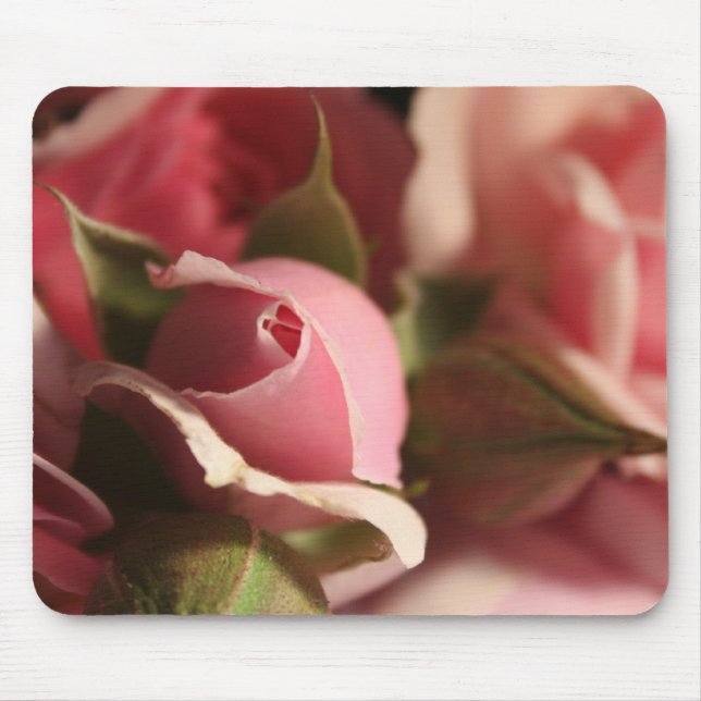 Mousepad Rosa Rosa Rosa Rosa Bud (Frente)