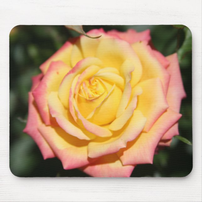 Mousepad Rosa rosa-rosa-rosa-quente (Frente)
