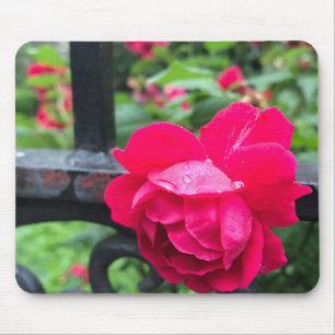 Mousepad Rosa Rosa Rosa Rosa Rosa Raindrops Dew Garden Gate