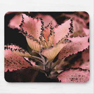Mousepad Rosa Star do argynoneura de Fittonia '