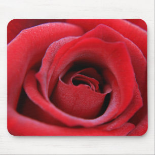 Mousepad rosa vermelha