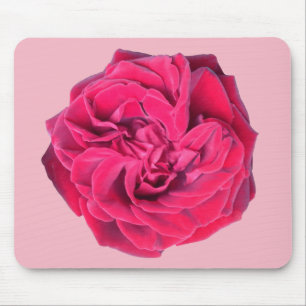 Mousepad rosa vermelha