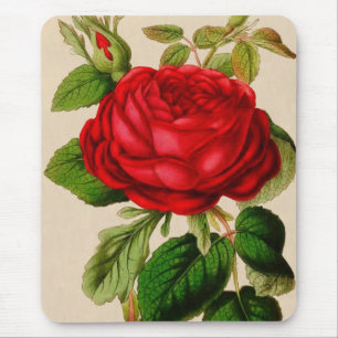 Mousepad Rosa vermelha