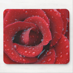 Mousepad Rosa vermelha coberta de orvalho decorando o local