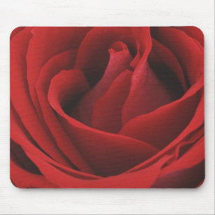 Mousepad Rosa vermelha de florescência