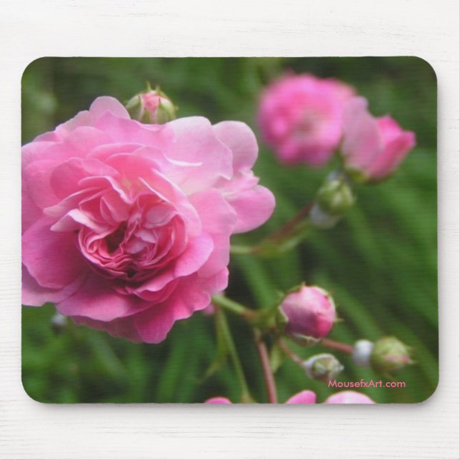 Mousepad Rosado Rosa (Frente)