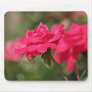 Mousepad Rosas
