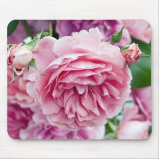 Mousepad Rosas cor-de-rosa