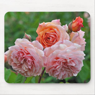 Mousepad Rosas cor-de-rosa bonitos