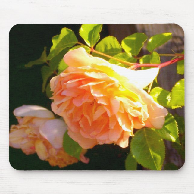 Mousepad Rosas de Pêssego do País (Frente)