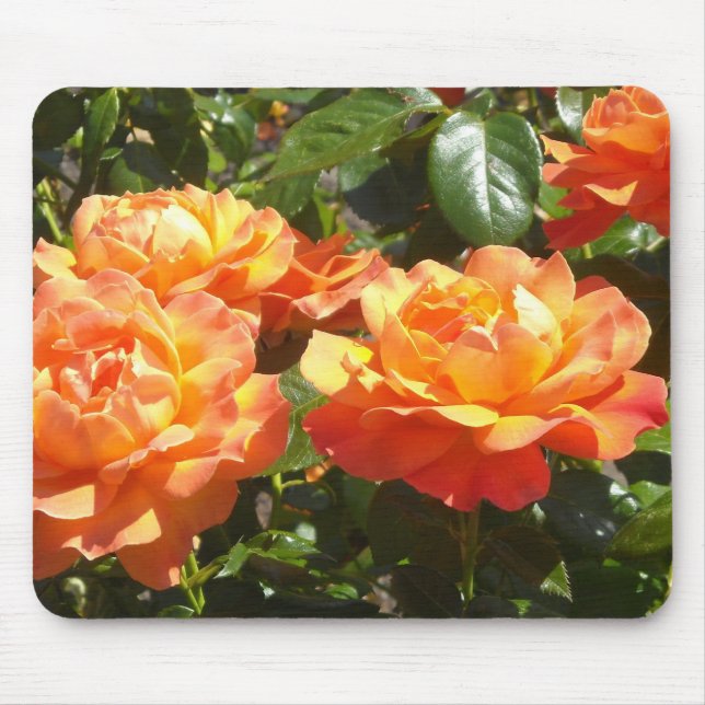 Mousepad Rosas Elegantes de Damasco (Frente)