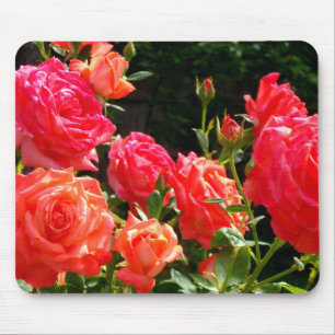 Mousepad Rosas florais cor-de-laranja-rosa Elegante