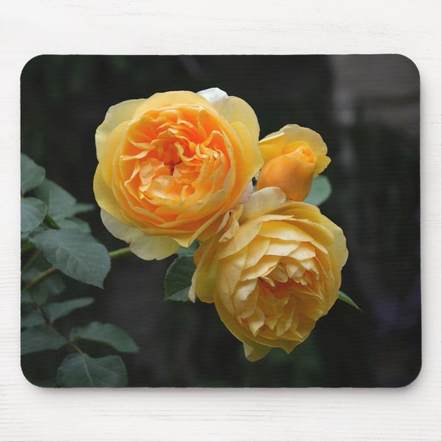 Mousepad Rosas ingleses amarelos (Frente)