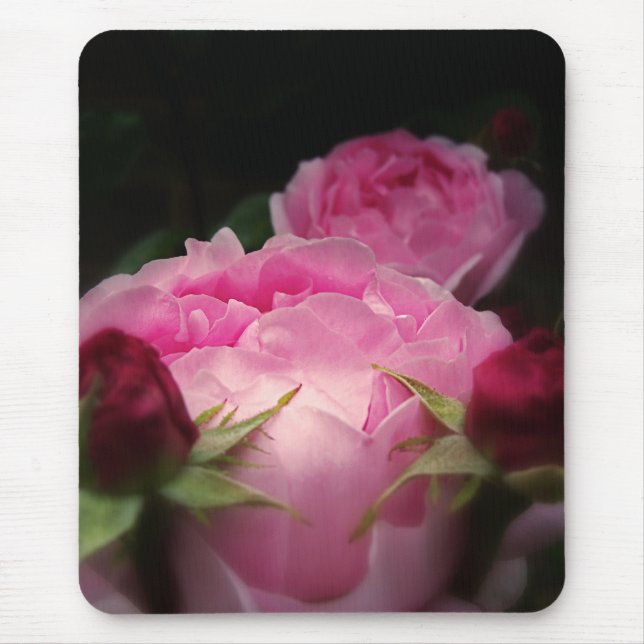 Mousepad Rosas ingleses no rosa (Frente)