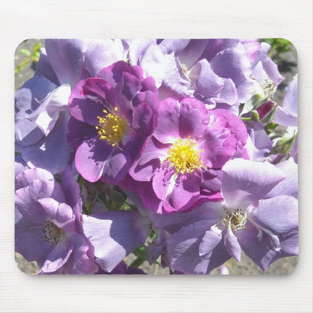 Mousepad Rosas Malvas (Frente)