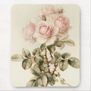 Mousepad Rosas românticos do Victorian do vintage