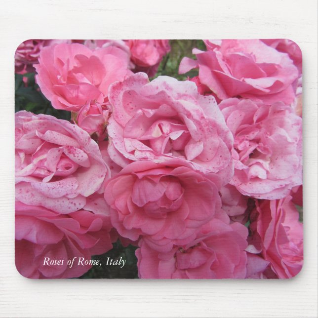 Mousepad Rosas rosa de Roma, Itália (Frente)