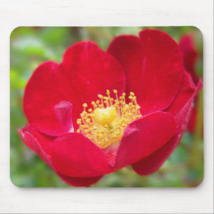 Mousepad Rosas São Bloco De Mouse Vermelho