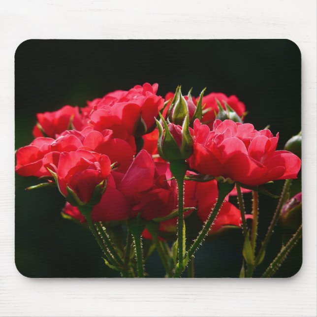 Mousepad Rosas vermelhas (Frente)